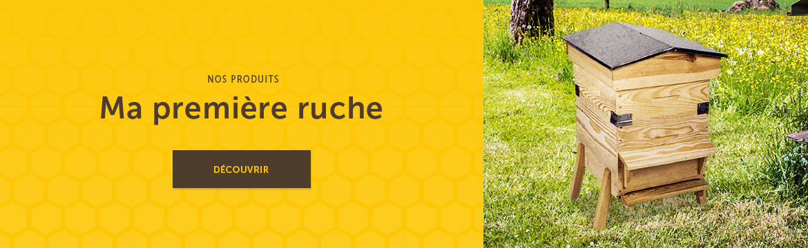 Ma première ruche