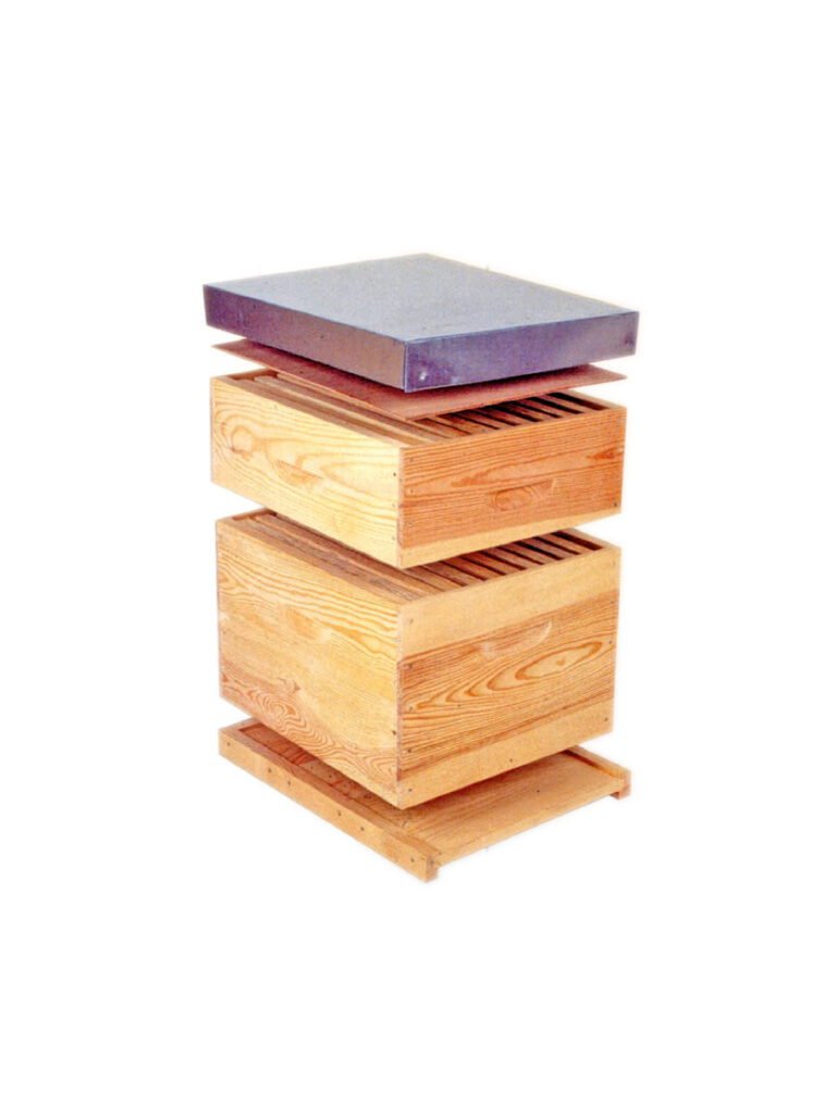 Ruche Non Emboîtable En Kit Dadant 10 Cadres